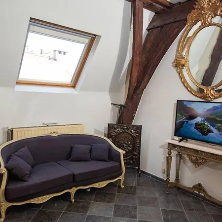 Hofmarkgraaf - Unique Apartment In Historic Antwerp Mansion Exterior photo